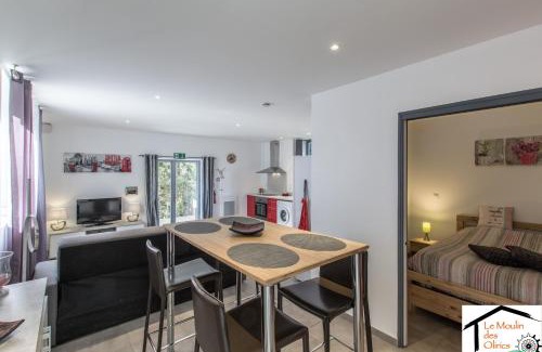 Sallanches Ski Chalet | Le Moulin des Olirics