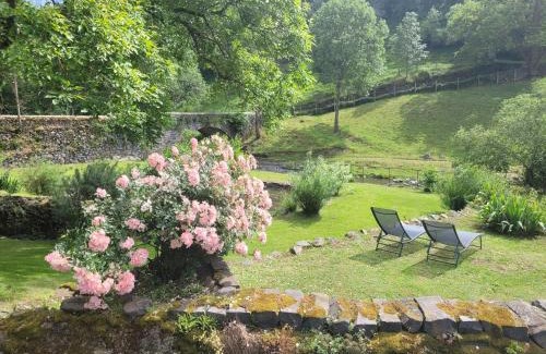 Saint-Arcons-d'Allier Bed & Breakfast | le moulin