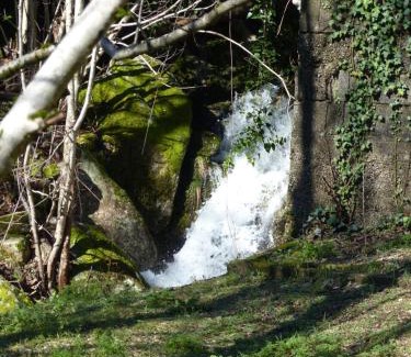 Saint-Andre-de-Majencoules House | Le Murmure des Cèdres - Gîte en Cévennes