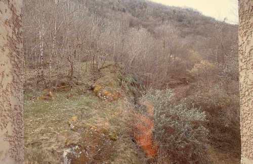 Saint-Mamet Apartment | Le nid de Beauregard: One-bedroom apartment with terrace and forest view.
