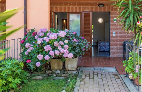 Arezzo Apartment | LE ORTENSIE Independent mini-apartment outdoor space and small garden