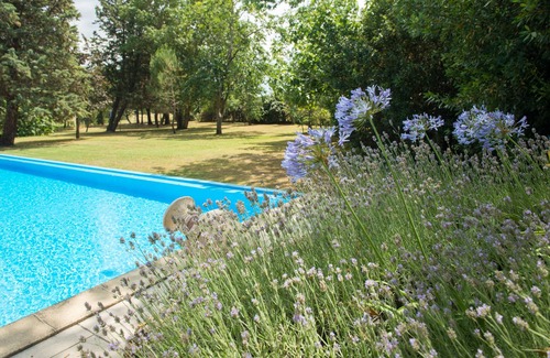 Moussoulens House | Le Palmier - luxury retreat near Carcassonne, family-friendly