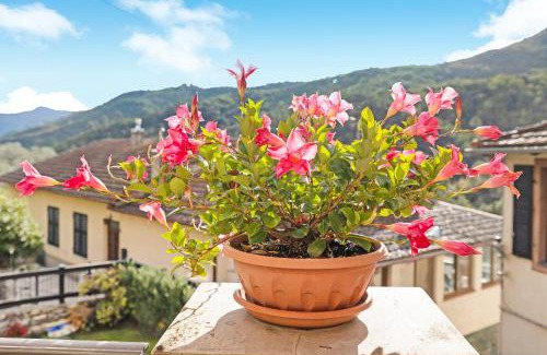 Cardoni Apartment | Le Peonie - Clotilde