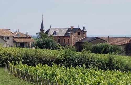 Saint-Amour-Bellevue House | Le petit Château de Sathonat - Horizon Paradis