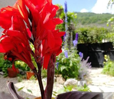 Ginoles Bed & Breakfast | Le Petit Chateau