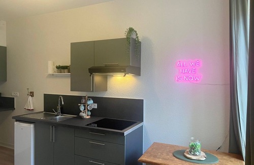 Poitiers Apartment | Le Petit Cosy - T2 en hypercentre, parking privé