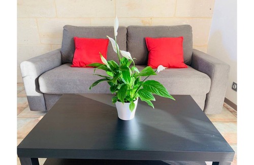 Chauray Apartment | Le Petit Cozy Downtown - WiFI - Parking