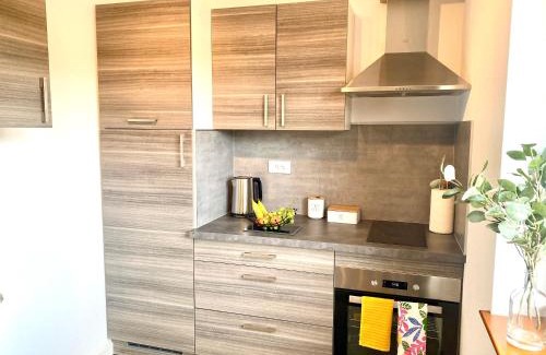 Ingersheim Apartment | Le Petit Letzenberg
