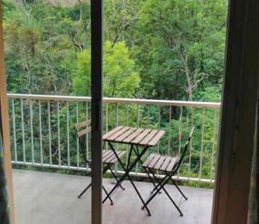 Savignac-les-Ormeaux Apartment | Le petit skieur