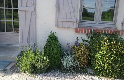 Neung-sur-Beuvron House | Le Petit Villiers In the heart of Sologne des Étangs.