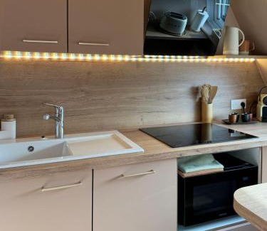 Petite-France Apartment | Le Petit Zix - Cosy et Terrasse, Petite France