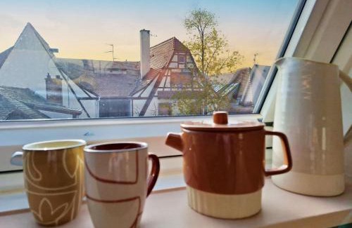 Petite-France Apartment | Le Petit Zix - Cosy et Terrasse, Petite France