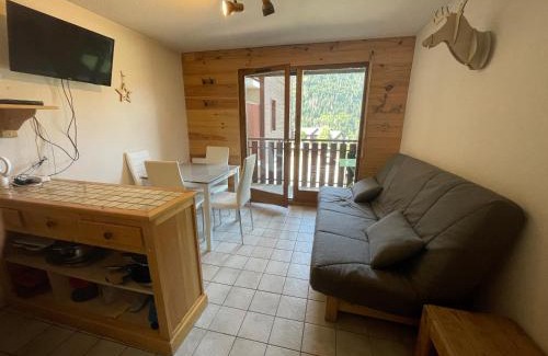 Saint-Jean-dʼAulps Apartment | Le Pied des Pistes A13, Joli Studio tout confort 4 pers, vue vallée imprenable, DRAPS NON COMPRIS