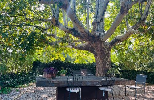 Puyvert House | Le Provençal Duplex piscine jardin le Luberon