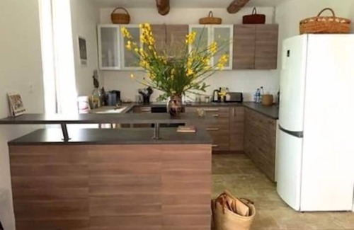 Puyvert Apartment | Le Provençal Duplex swimming pool private garden in the Luberon Lourmarin