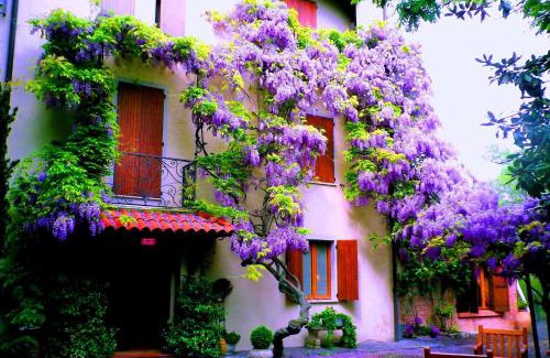 Salsomaggiore Terme Hotel | Le Querce Hotel