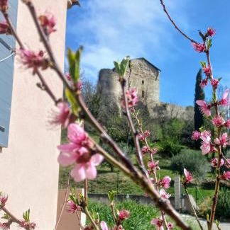Greoux-les-Bains Apartment | Le repaire des muses, Greoux studio