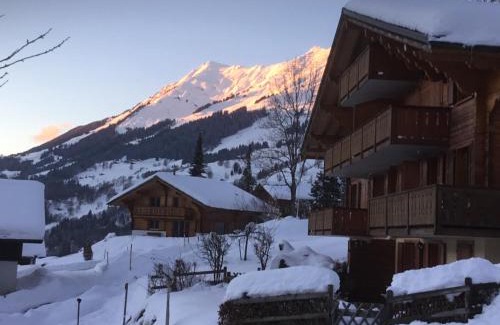 Ormont-Dessus Apartment | Le Sapin