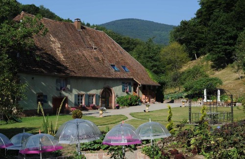 Murbach House | Le Schaeferhof