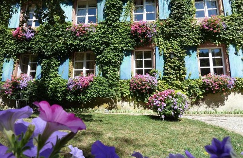 Murbach House | Le Schaeferhof