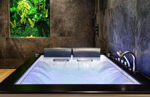 Agen Apartment | Le SPA & Cocon - Jacuzzi - Sauna - Clim - Melina&Alfred