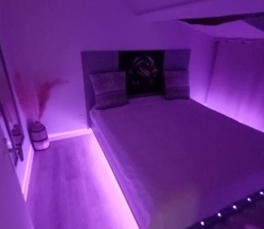 Paulhac Apartment | Le SPArt un jacuzzi une salle de sport un appartement entièrement équipée pour votre bien être