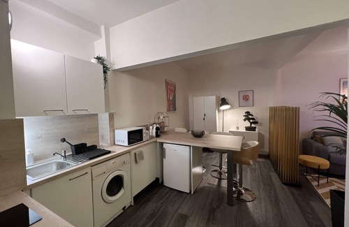 City-Centre - Petite France Apartment | Le St-etienne - Carré D'or Strasbourg Cathédrale