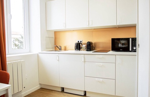 Serin Apartment | Le Terracotta - Joli studio Metro D Valmy et quais de Saone