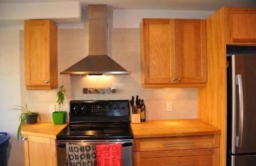 Pointe-Saint-Charles Apartment | Le Tierra del Fuego by HomeInMontreal