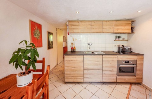 Gaillac House | Le Triangle D'or - Le Bouleau - Piscine - Gaillac