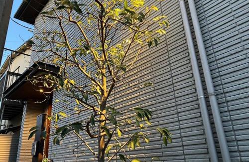 Tokorozawa Apartment | Leaf Village