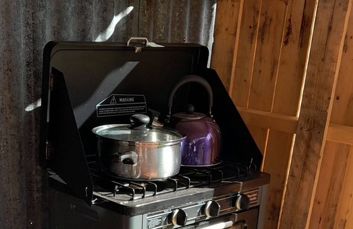 Cedar Party RV Rental | Leave the rat race & energise yourself in nature in our luxurious Glamping Yurt!