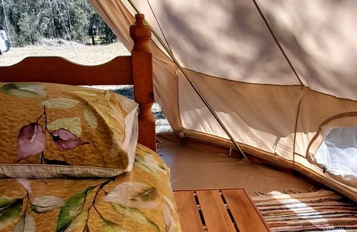 Cedar Party RV Rental | Leave the rat race & energise yourself in nature in our luxurious Glamping Yurt!