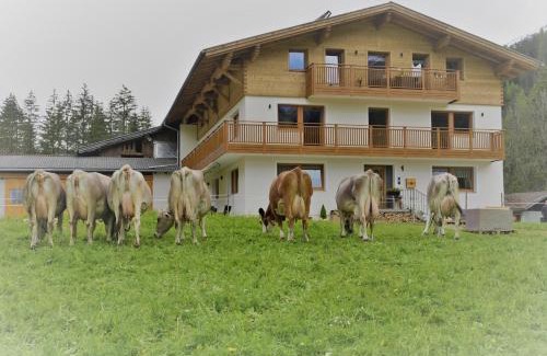 Holzgau Apartment | Lechtal-Pur-Aparts