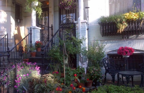 Le Droit Park Bed & Breakfast | Ledroit Park Renaissance Bed and Breakfast