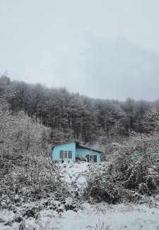 Nyzhnje Selyshche House | LeGora