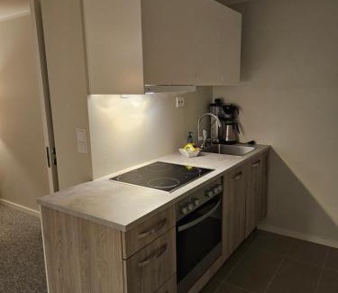 Porsgrunn Apartment | Leilighet