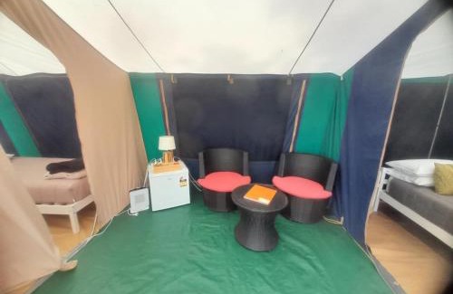 Leithfield Resort | Leithfield Beach Holiday Park
