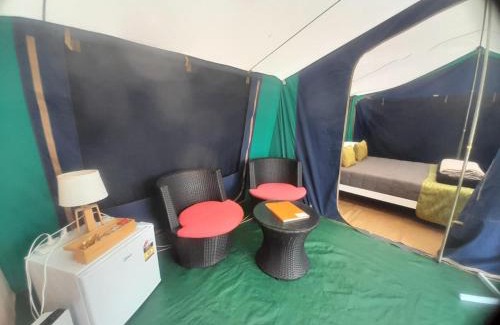 Leithfield Resort | Leithfield Beach Holiday Park