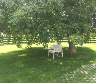 Municipality of Drechterland Apartment | Lekerweg 32
