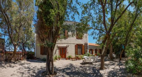 Mithimna Apartment | Lela Kaptani Eftalou Olive Grove