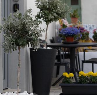 Pythagorion Hotel | Lelis Studios