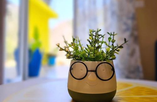 Borsh House | Lemon House Borsh