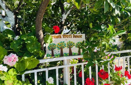 Kalavarda House | Lemon tree's house