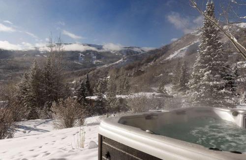 Snowmass Village House | Lemond Place Home