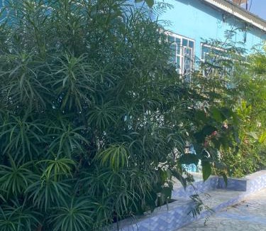 Sanyang House | Lena avenue