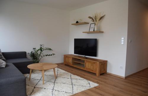 Gmunden Apartment | Lenau Apartment