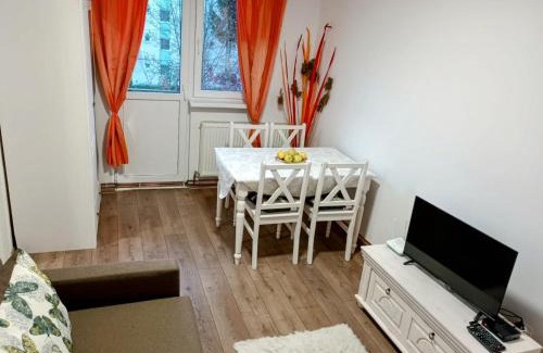 Miercurea-Ciuc Apartment | Lend City Apartment