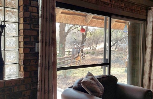 Marloth Park House | Lenny's Den - bordering Kruger National Park