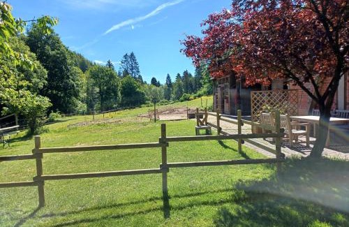 Wallscheid House | Lenzenhaus